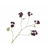 SILK-KA Branche de géranium Bordeaux | 94 cm SILK-KA Branche de géranium Bordeaux | 94 cm