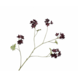 SILK-KA Geranium Branch Bordeaux | 94 cm SILK-KA Geranium Branch Bordeaux | 94 cm
