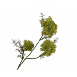 SILK-KA Branche d'aneth verte | 74 cm