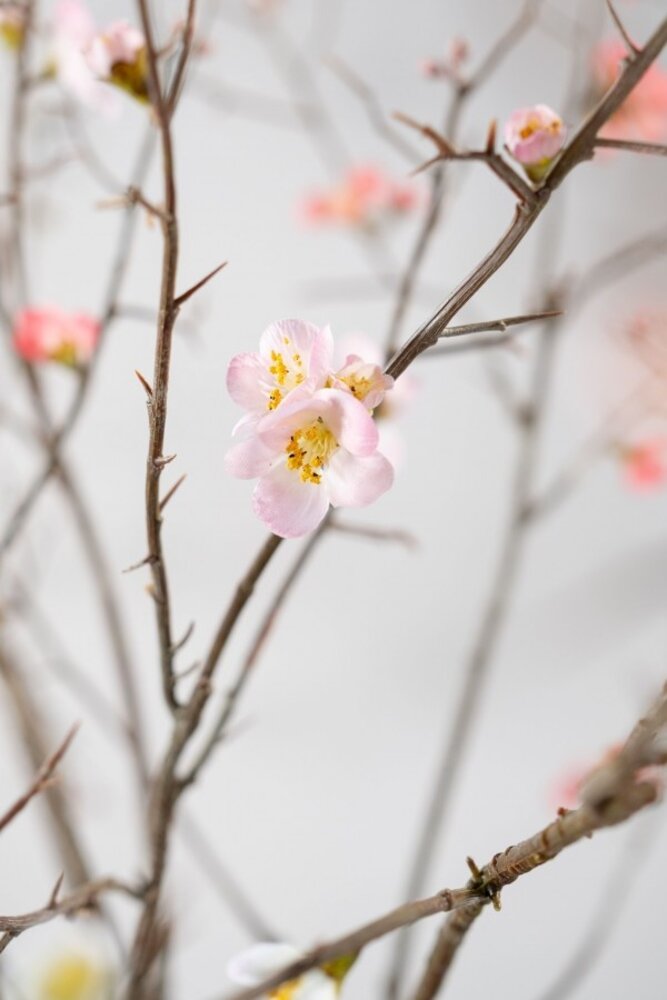 SILK-KA Blossom Branch Pink LT | 154 cm SILK-KA Blossom Branch Pink LT | 154 cm