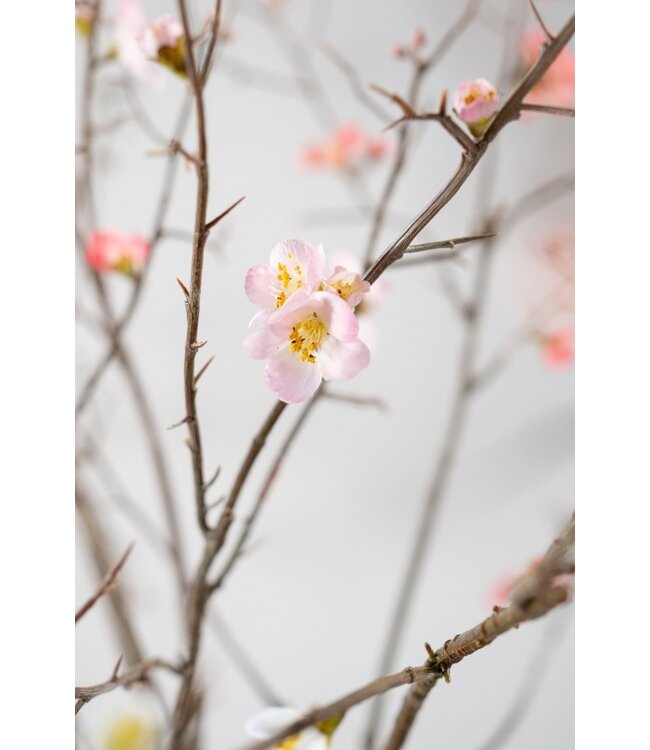 SILK-KA Bloesem Tak Roze LT | 154 cm