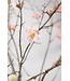 SILK-KA Bloesem Tak Roze LT | 154 cm