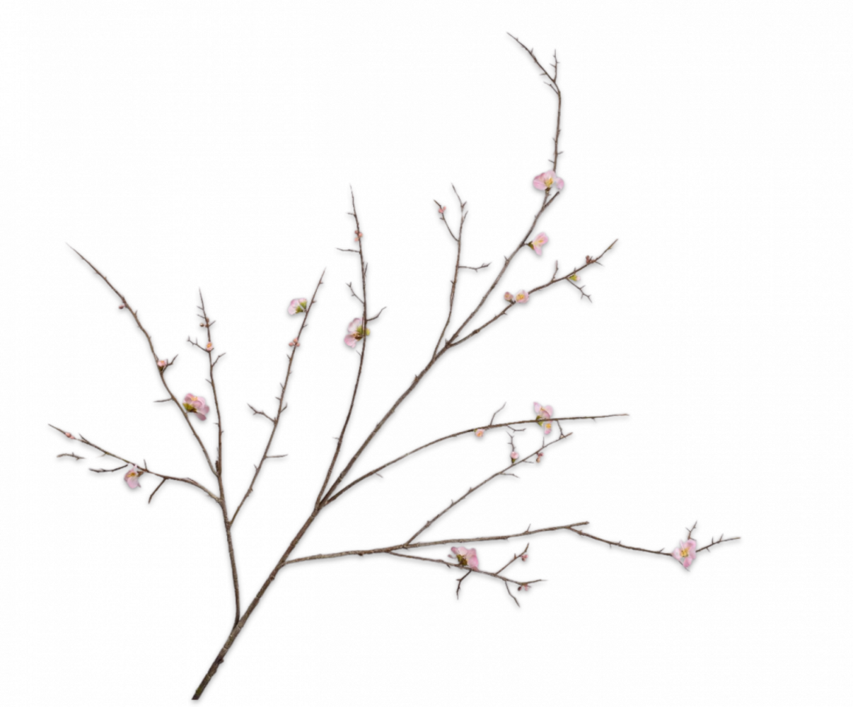 SILK-KA Blossom Branch Pink LT | 154 cm SILK-KA Blossom Branch Pink LT | 154 cm
