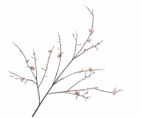 SILK-KA Bloesem Tak Roze LT | 154 cm SILK-KA Bloesem Tak Roze LT | 154 cm