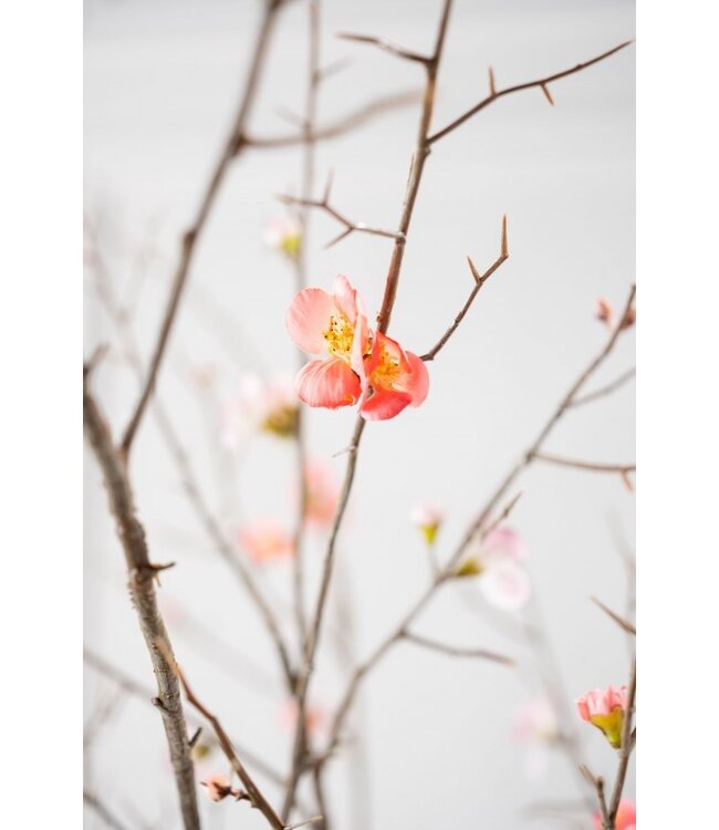 SILK-KA Ramo in fiore Bellezza | 154 cm