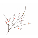 SILK-KA Ramo in fiore Bellezza | 154 cm