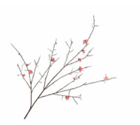 SILK-KA Branche fleurie Beauté | 154 cm