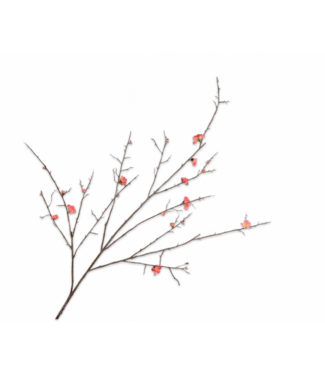 SILK-KA Bloesem Tak Beauty | 154 cm