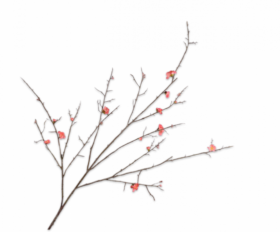 SILK-KA Blossom Branch Beauty | 154 cm SILK-KA Blossom Branch Beauty | 154 cm