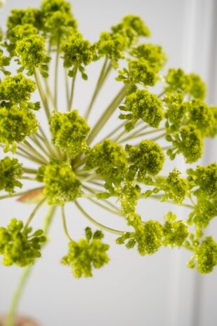 SILK-KA Dill Stem Green | 85 cm