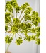 SILK-KA Dillstilk Grønn | 85 cm