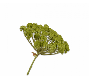 SILK-KA Dille Steel Groen | 85 cm SILK-KA Dille Steel Groen | 85 cm