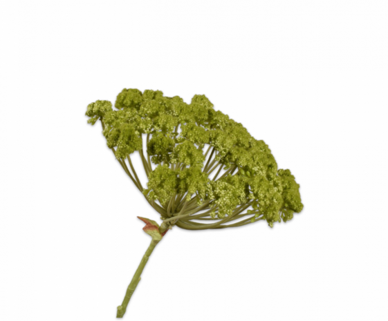 SILK-KA Dill Stem Green | 85 cm