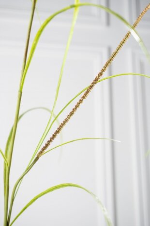 SILK-KA Grass Branch Green | 178 cm SILK-KA Grass Branch Green | 178 cm