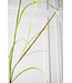SILK-KA Ramo d'erba verde | 178 cm