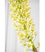 SILK-KA Eucomis-gren grønn | 106 cm