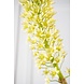 SILK-KA Eucomis-gren grønn | 106 cm SILK-KA Eucomis-gren grønn | 106 cm