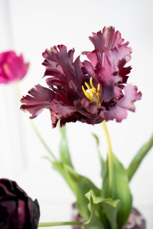 SILK-KA Tulip Stem Bordeaux RT | 71 cm