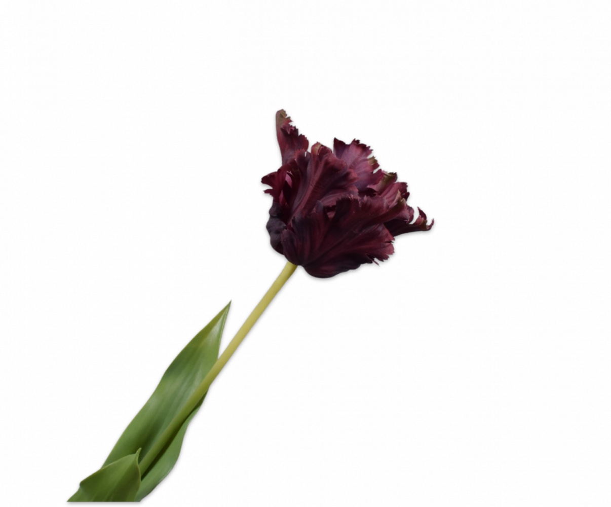 SILK-KA Tulip Stem Bordeaux RT | 71 cm