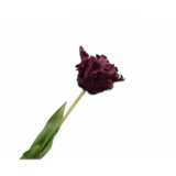 SILK-KA Stelo di tulipano Bordeaux RT | 71 cm