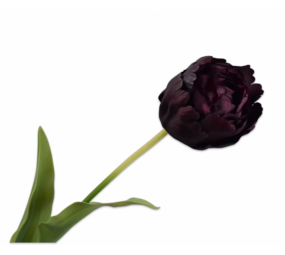 SILK-KA Tulipanstilk Bordeaux RT | 82 cm SILK-KA Tulipanstilk Bordeaux RT | 82 cm