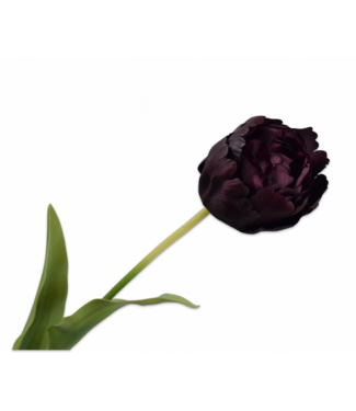 SILK-KA Tulip Stem Bordeaux RT | 82 cm