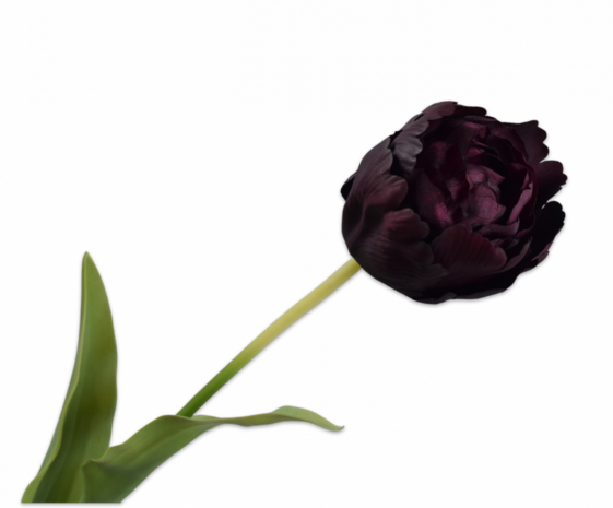 SILK-KA Stelo di tulipano Bordeaux RT | 82 cm SILK-KA Stelo di tulipano Bordeaux RT | 82 cm
