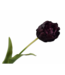 SILK-KA Tige de tulipe Bordeaux RT | 82 cm
