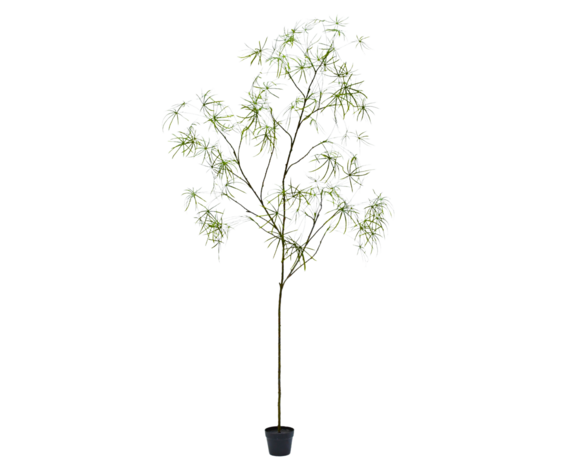 SILK-KA Künstliche Schefflera-Pflanze im grünen Topf 240 cm / SILK-KA SILK-KA Künstliche Schefflera-Pflanze im grünen Topf 240 cm / SILK-KA