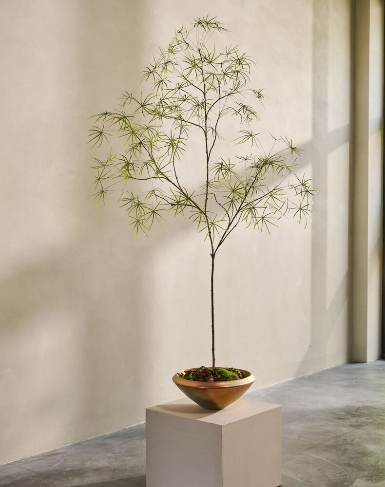 SILK-KA Schefflera artificiel vert | 240 cm SILK-KA Schefflera artificiel vert | 240 cm