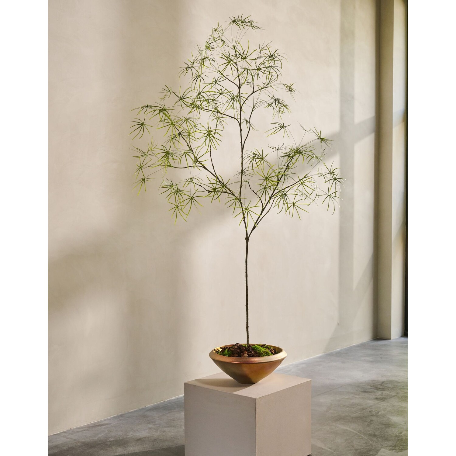 Knstliche Schefflera, grn | 240 cm - NU PUUR & GROEN B.V.