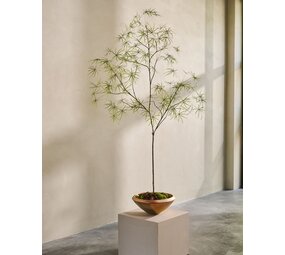 SILK-KA Planta artificial Schefflera verde | 240 cm SILK-KA Planta artificial Schefflera verde | 240 cm