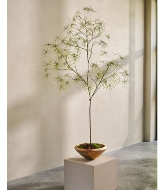 SILK-KA Kunstplant Schefflera groen | 240 cm
