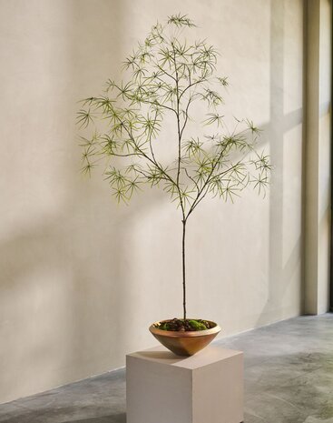 SILK-KA Schefflera artificiel vert | 240 cm SILK-KA Schefflera artificiel vert | 240 cm