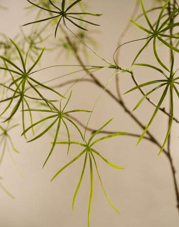 SILK-KA Artificial Schefflera plant green | 240 cm