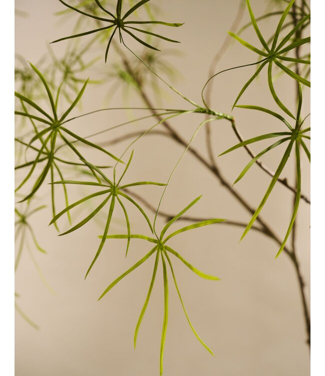 SILK-KA Artificial Schefflera plant green | 240 cm