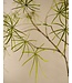 SILK-KA Artificial Schefflera plant green | 240 cm