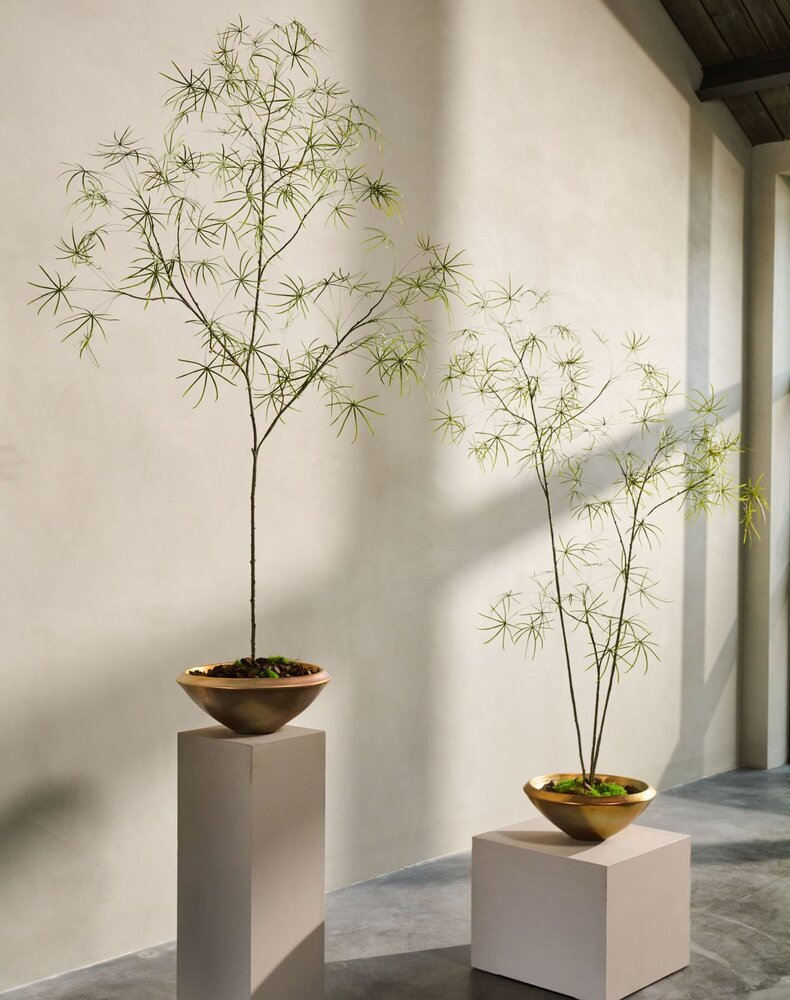 SILK-KA Schefflera artificiel vert | 240 cm SILK-KA Schefflera artificiel vert | 240 cm