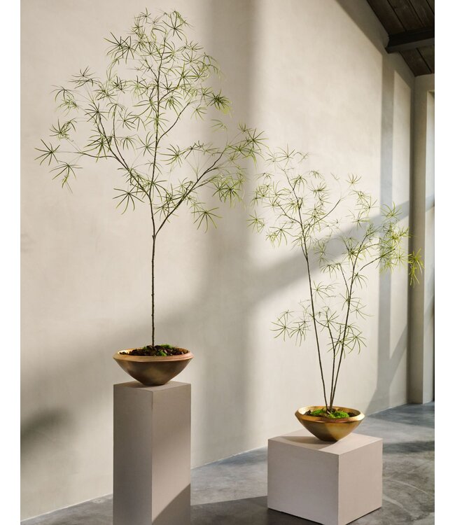 SILK-KA Kunstplant Schefflera groen | 240 cm