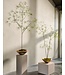 SILK-KA Schefflera artificiel vert | 240 cm