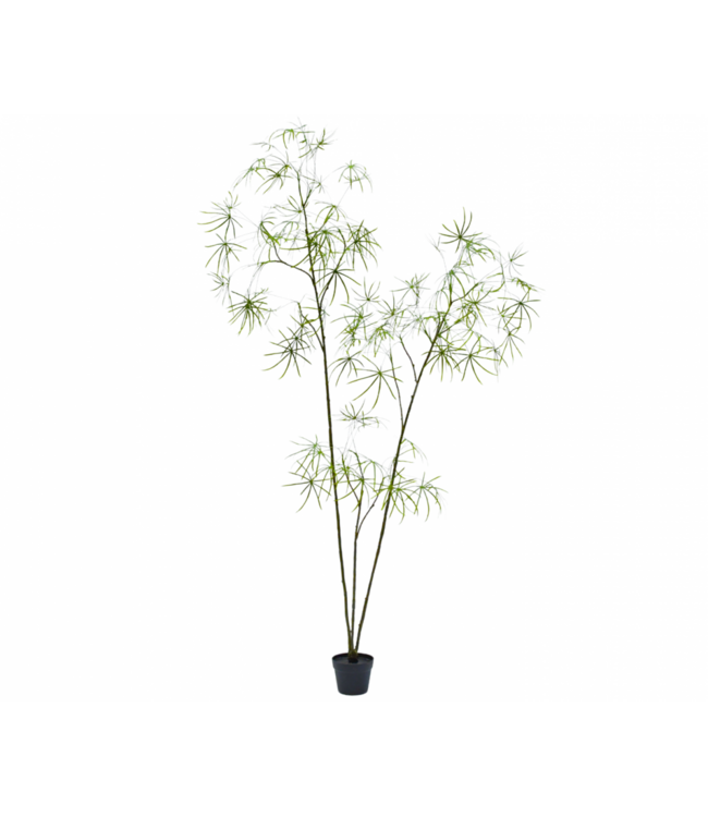 SILK-KA Kunstig Schefflera-plante grønn | 223 cm