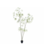 SILK-KA Kunstplant Schefflera groen | 223 cm