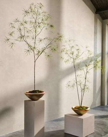 SILK-KA Planta artificial Schefflera verde | 223 cm SILK-KA Planta artificial Schefflera verde | 223 cm