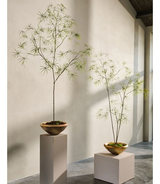 SILK-KA Kunstplant Schefflera groen | 223 cm