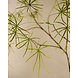SILK-KA Kunstplant Schefflera groen | 223 cm SILK-KA Kunstplant Schefflera groen | 223 cm