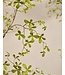 SILK-KA Artificial Bucida plant green | 290 cm