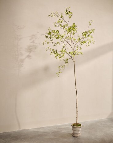 SILK-KA Kunstplant Bucida groen | 290 cm