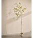 SILK-KA Kunstplant Bucida groen | 290 cm