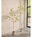 SILK-KA Kunstplant Bucida groen | 290 cm