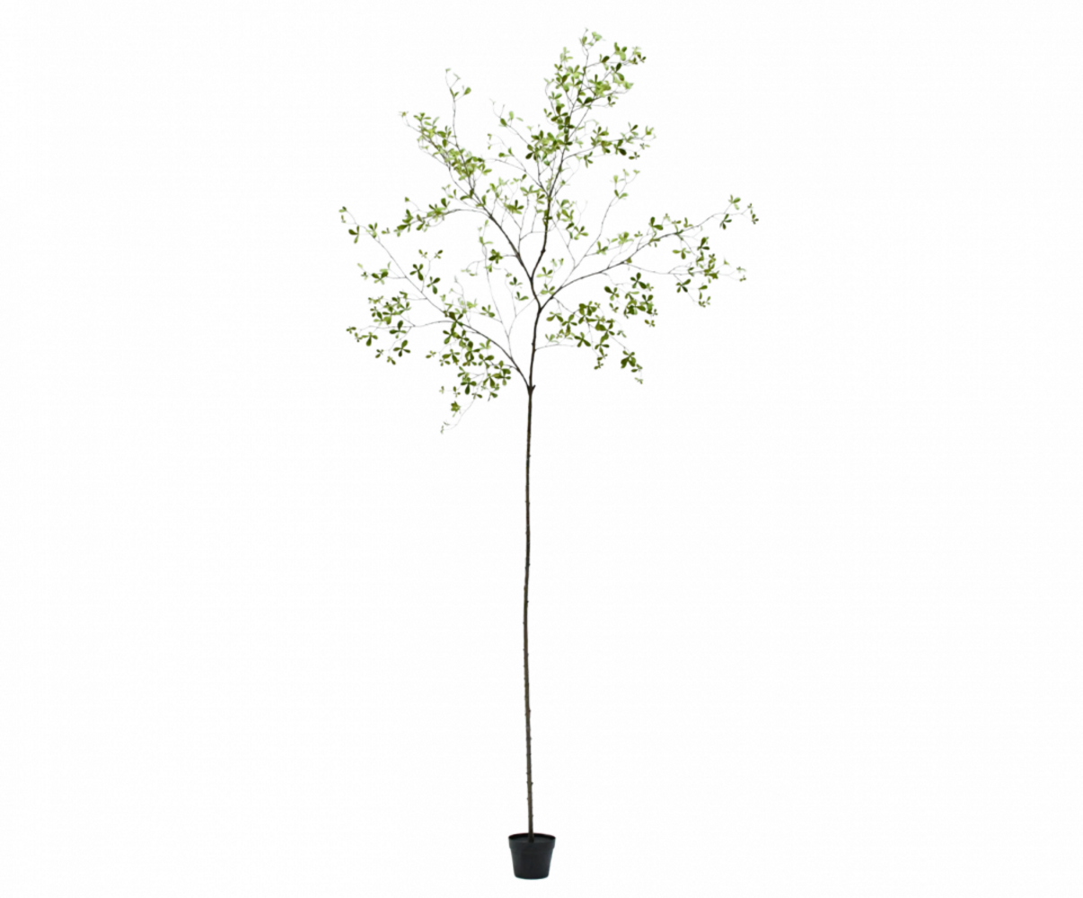 SILK-KA Artificial Bucida plant green | 290 cm